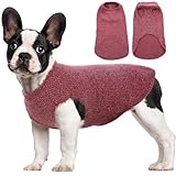 Chemise pour chien de petite taille pour chat - T-shirt