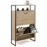 IDMarket - Meuble à chaussures 12 paires LUIS 2 portes