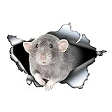 MACMRD Autocollants de voiture personnalisables en