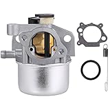 ZAMDOE 799866 Carburateur avec joint pour Briggs &