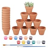 Hejo Lot de 20 mini pots de fleurs en terre cuite,