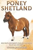Poney Shetland: Faits amusants sur les chevaux pour
