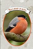 Carnet de notes Bouvreuil | Oiseaux: 100 pages lignées