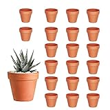 HDKAJL 20 Terre Cuite Mini Pots de Plante/de Fleurs/de