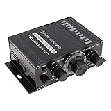 ePathChina AK160 Amplificateur de puissance 2 canaux