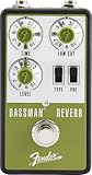 Fender Bassman Reverb Pédale d'effets