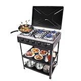 Donened - Plaque de cuisson à gaz à 5 feux avec support