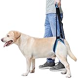 MIGHTYDUTY Harnais de levage pour chien pour pattes