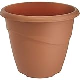 EDA Marina Pots de Fleur, Terre Cuite