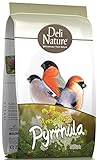 Birdelicious Pyrrhula Bouvreuils 2kg - Deli Nature