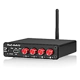 Douk Audio HiFi Bluetooth 5.0 Amplificateur de puissance