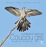 Le fabuleux destin du coucou gris: Vie et moeurs du