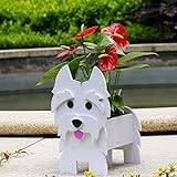 Gochoi Petit Jardinière Pot Cadeaux Westie pour Les