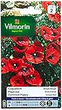 Vilmorin 5241442 Coquelicot Simple, Rouge, 90 x 2 x