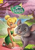 DISNEY FAIRIES 11 MOST PRECIOUS GIFT: Tinker Bell and