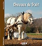 Chevaux de trait: Le passé a de l'avenir