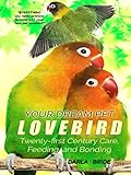 Your Dream Pet Lovebird: Twenty-First-Century Care,