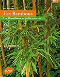 Bambous: Les 50 meilleurs au jardin et en pot