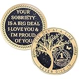 Pièce de monnaie de sobriété d'un mois - Jetons AA