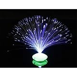 Spacnana Lampe colorée à fibre optique, veilleuse de