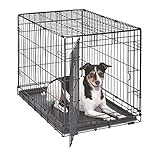 New World B30 Cage pour chiens de petite taille, nouvellement