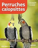 Perruches calopsittes