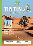 Tintin - C'est l'aventure 13
