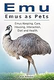 Emu. Emus as Pets. Emus Keeping, Care, Housing, Interaction,