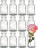 Praknu 12 Petits Vases en Verre - 12,5 cm de Hauteur