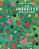 Des insectes par milliers