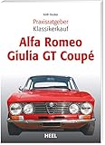 ALFA GT KLASSIKERKAUF