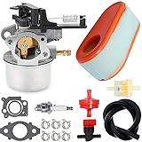 ZAMDOE Carburateur 591137 590948 pour nettoyeur haute