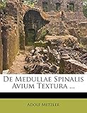 de Medullae Spinalis Avium Textura ...