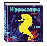 Hippocampe