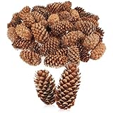 COM-FOUR® 50x pommes de pin décoratives - décorations