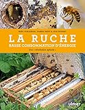 La ruche basse consommation d'énergie: Une "révolution