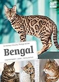 Bengal: Comportement, soins, socialisation