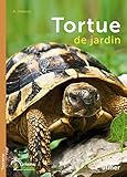 Tortue de jardin