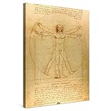 PICANOVA Leonardo da Vinci, Homme vitruvien 30 x 40