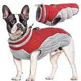 Hjumarayan Manteau d'hiver Imperméable pour Chiens