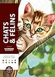 Chats & Félins: Coloriez les chiffres et découvrez