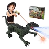 Jouets dinosaures télécommandés, jouets électroniques