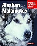 Alaskan Malamutes
