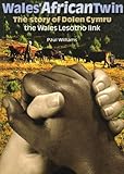 Wales' African Twin - The Story of Dolen Cymru, The