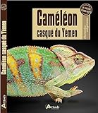 Caméléon casqué du Yémen: 0