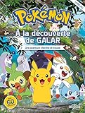 A la découverte de Galar: Une aventure cherche et trouve.